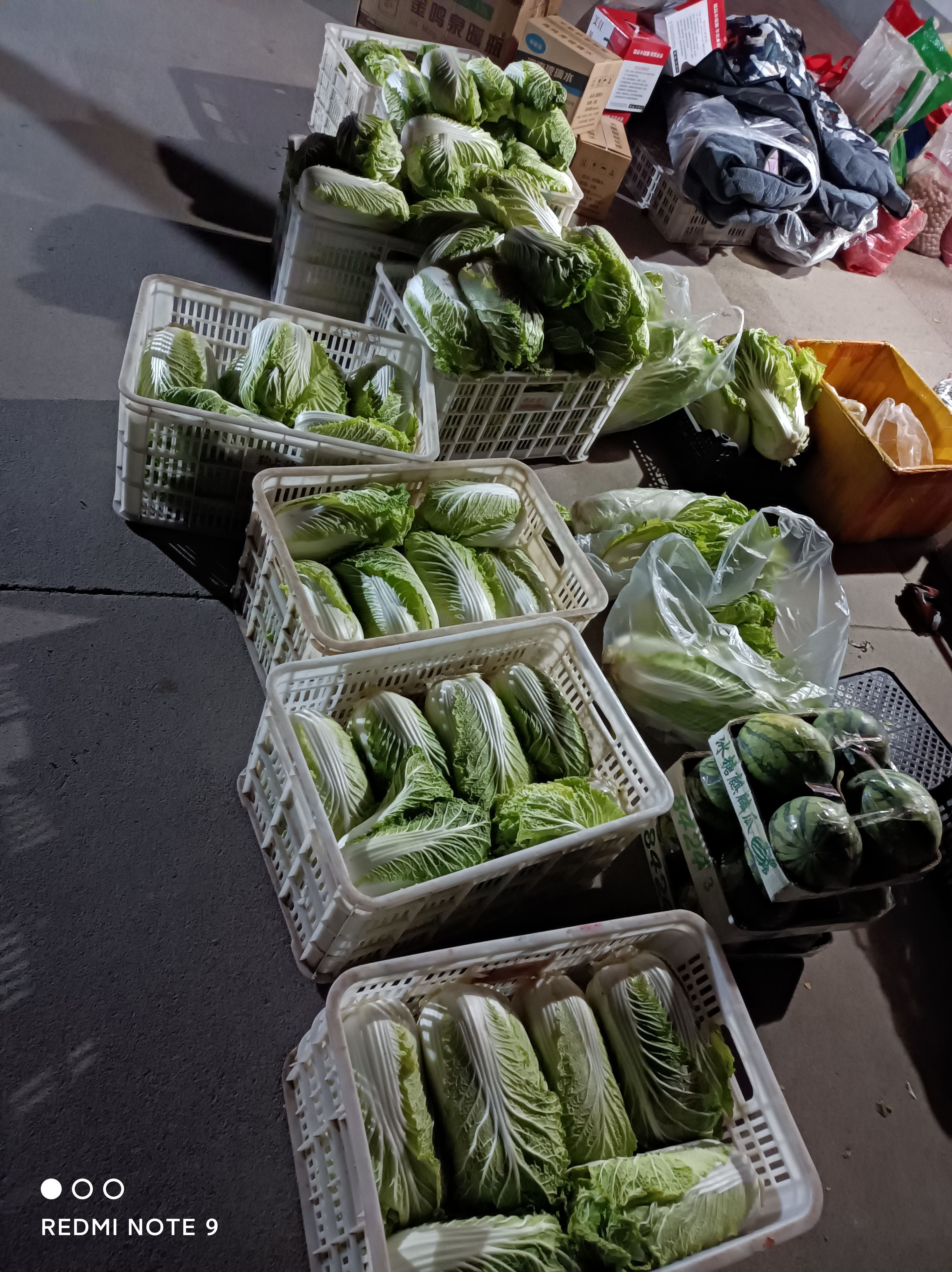 黄心大白菜  黄心白菜，薄邦，颗小，平均3斤左右，好卖，东营广饶现货