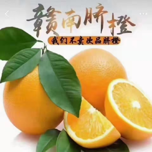 信丰县赣南信丰脐橙
