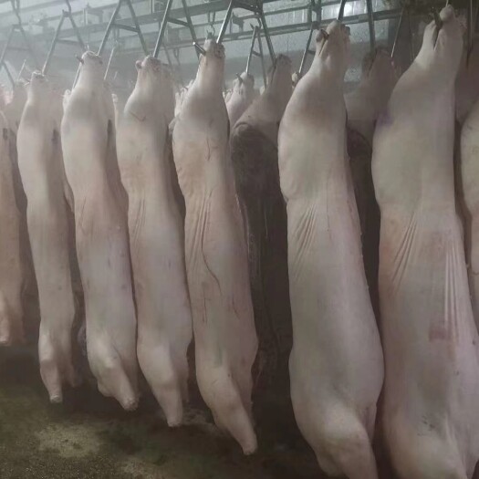 巴彦县整头猪 猪肉