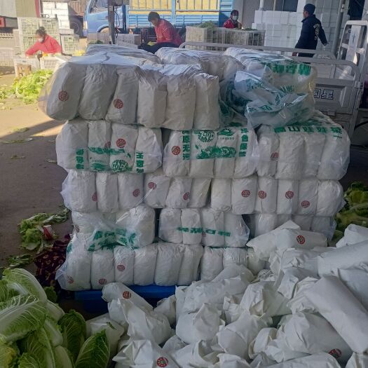 丰县精品娃娃菜，基地直销，适合整车发货