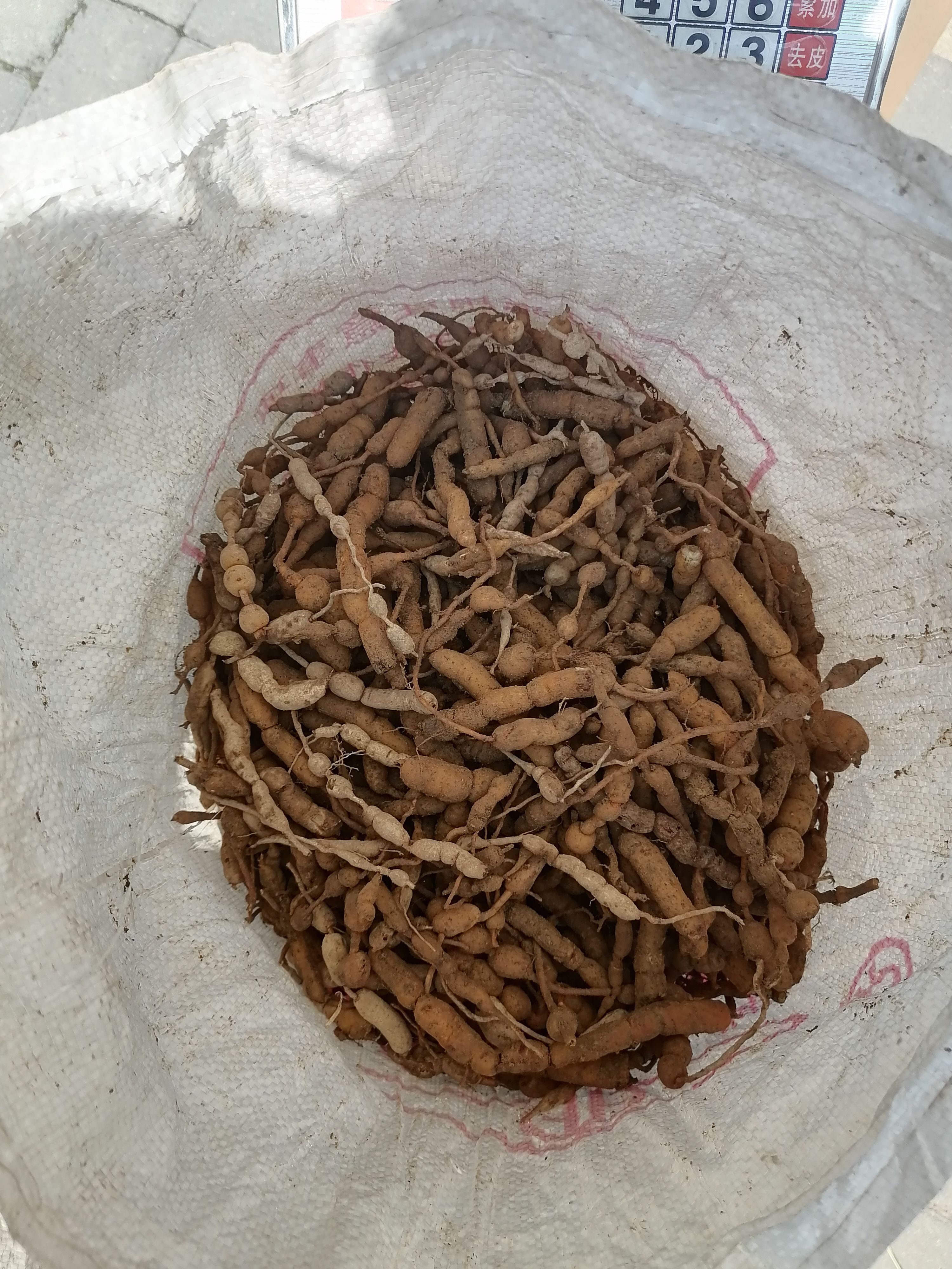 鸡筋参，黄脚鸡，黄鸡胖，黄鸡郎，虎刺，巴戟