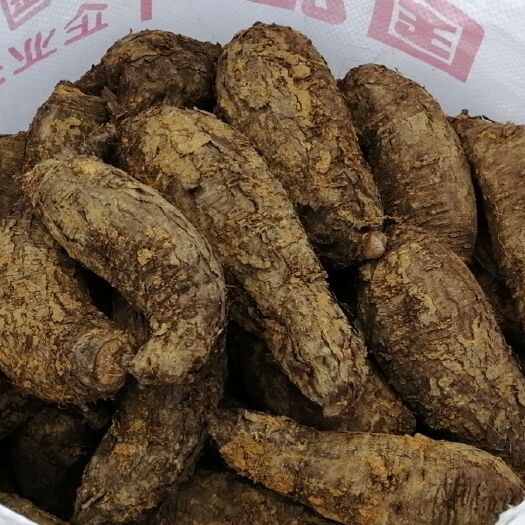 钟山县入地老鼠/紫茉莉根/花粉头