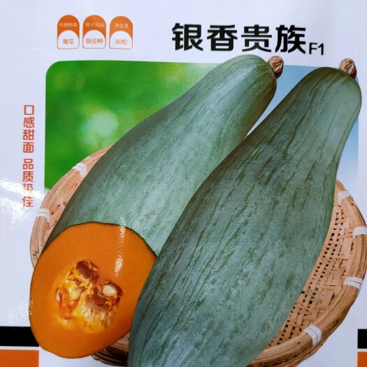 绵阳贵族南瓜种子老食南瓜种子