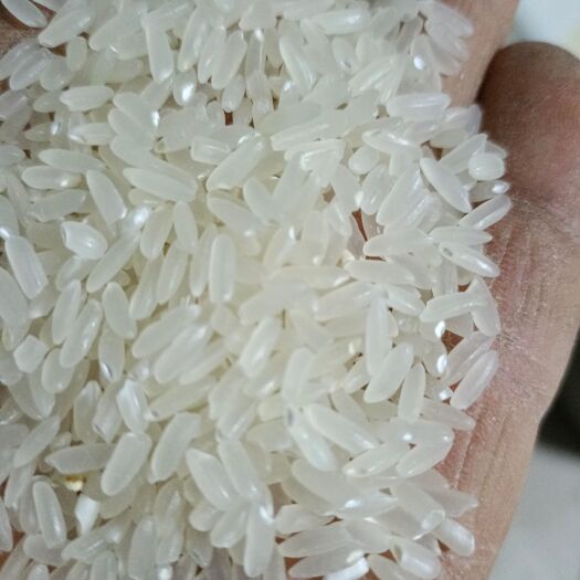 前郭县长粒香  松花江畔得农家米  自产自销 保证好吃，