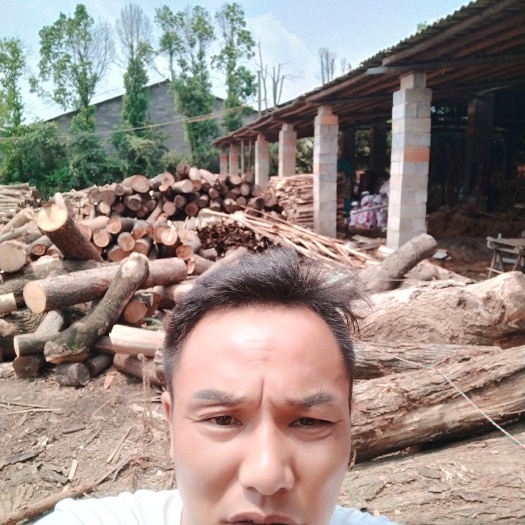 益阳 杨木