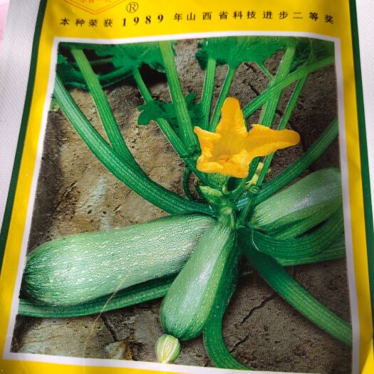 余干县 早春一代，西葫芦种子，一代杂种。