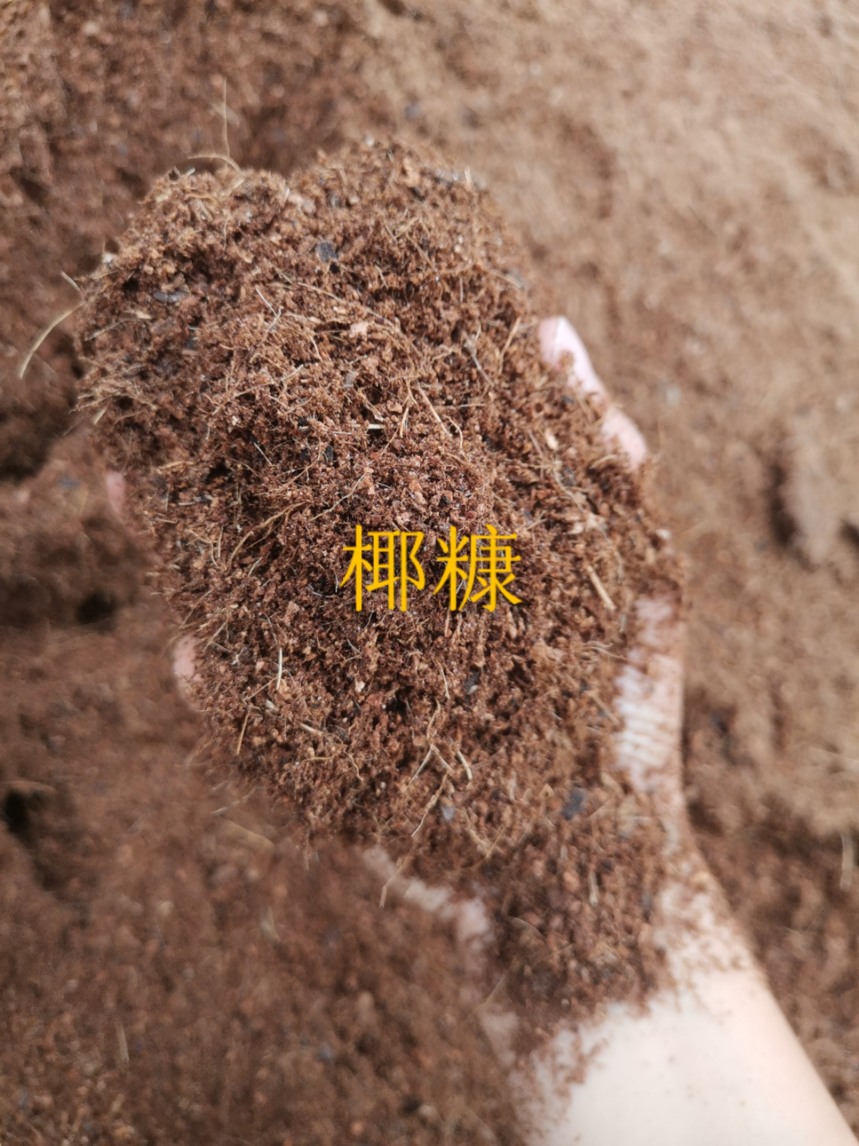  供应海南细椰糠,细椰糠适合应用于季瓜菜水果育苗,种植绿萝等