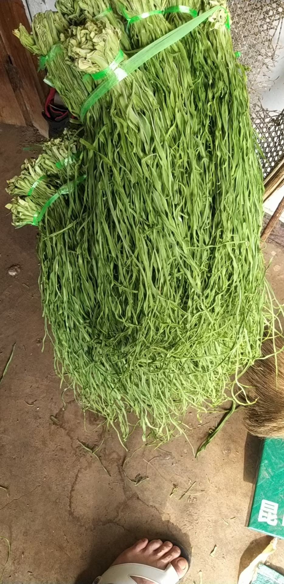 云南贡菜上市了