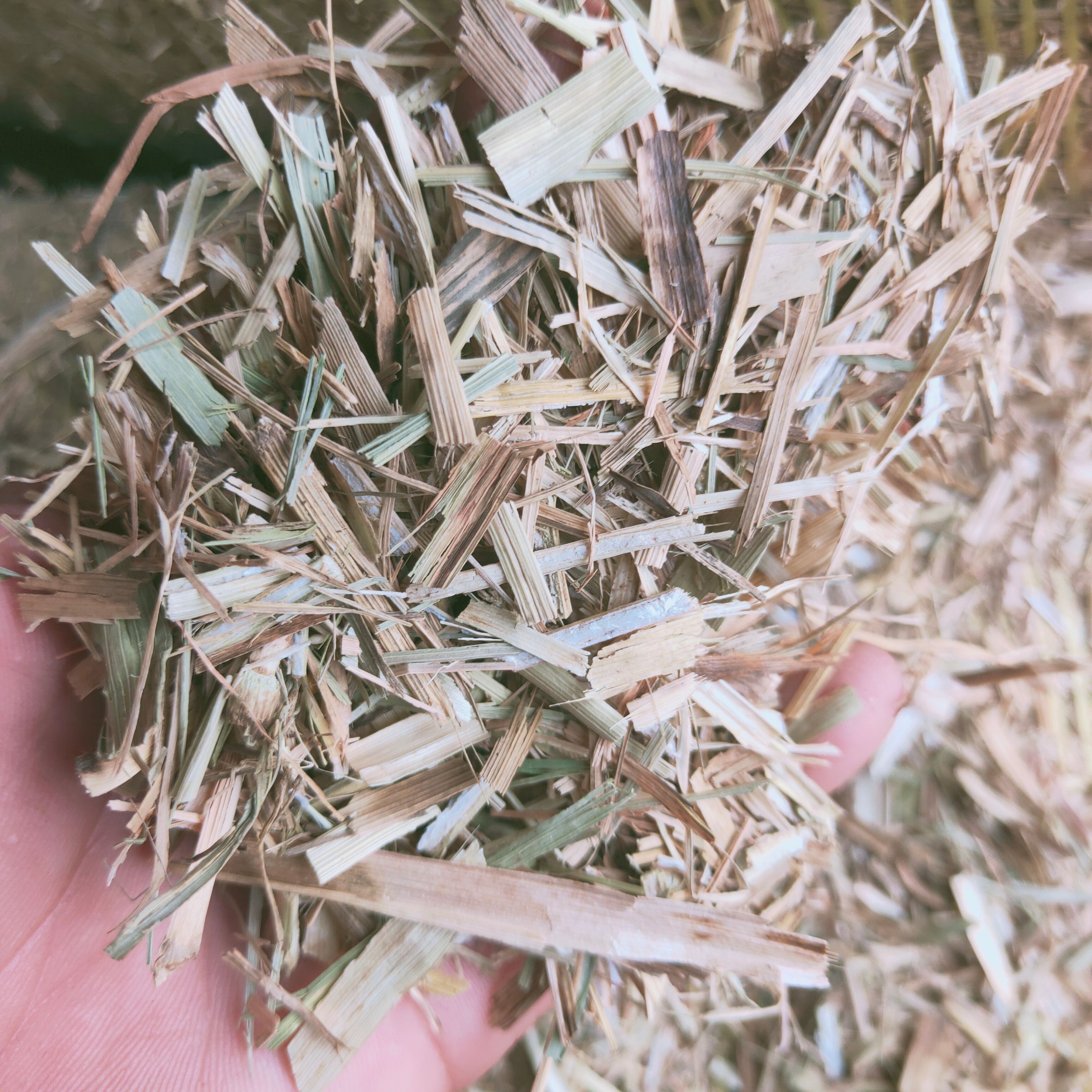 灵寿县小麦秸秆 麦秆，牛羊草