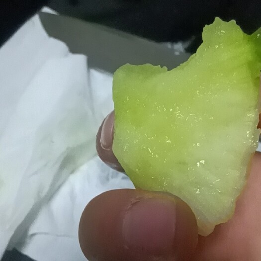 莱西市青萝卜 水果萝卜