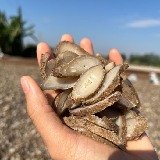 玉林郁金，批发，无中间商，产地直销，无硫