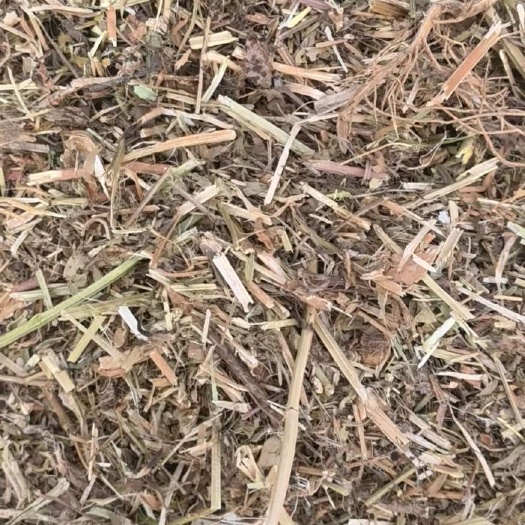 隆尧县青干草饲料 花生秧