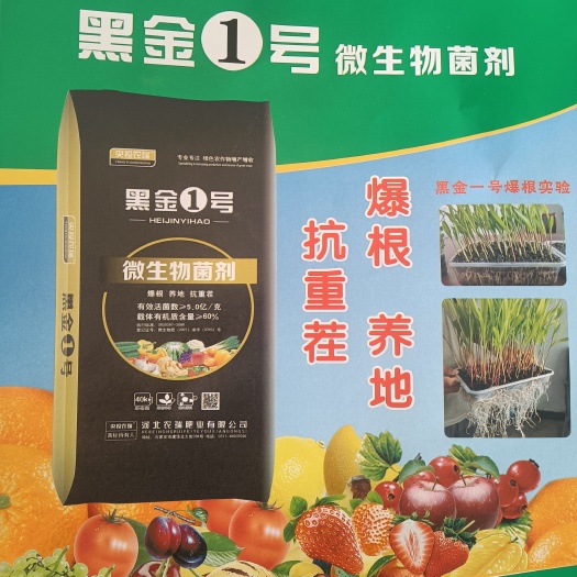 石家庄 微生物菌肥菌剂