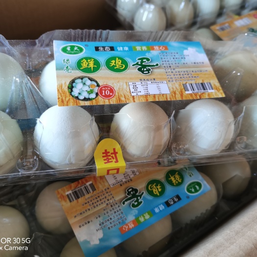 深州市绿壳蛋 绿壳鸡蛋