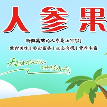 武威甘肃武威人参果大量出