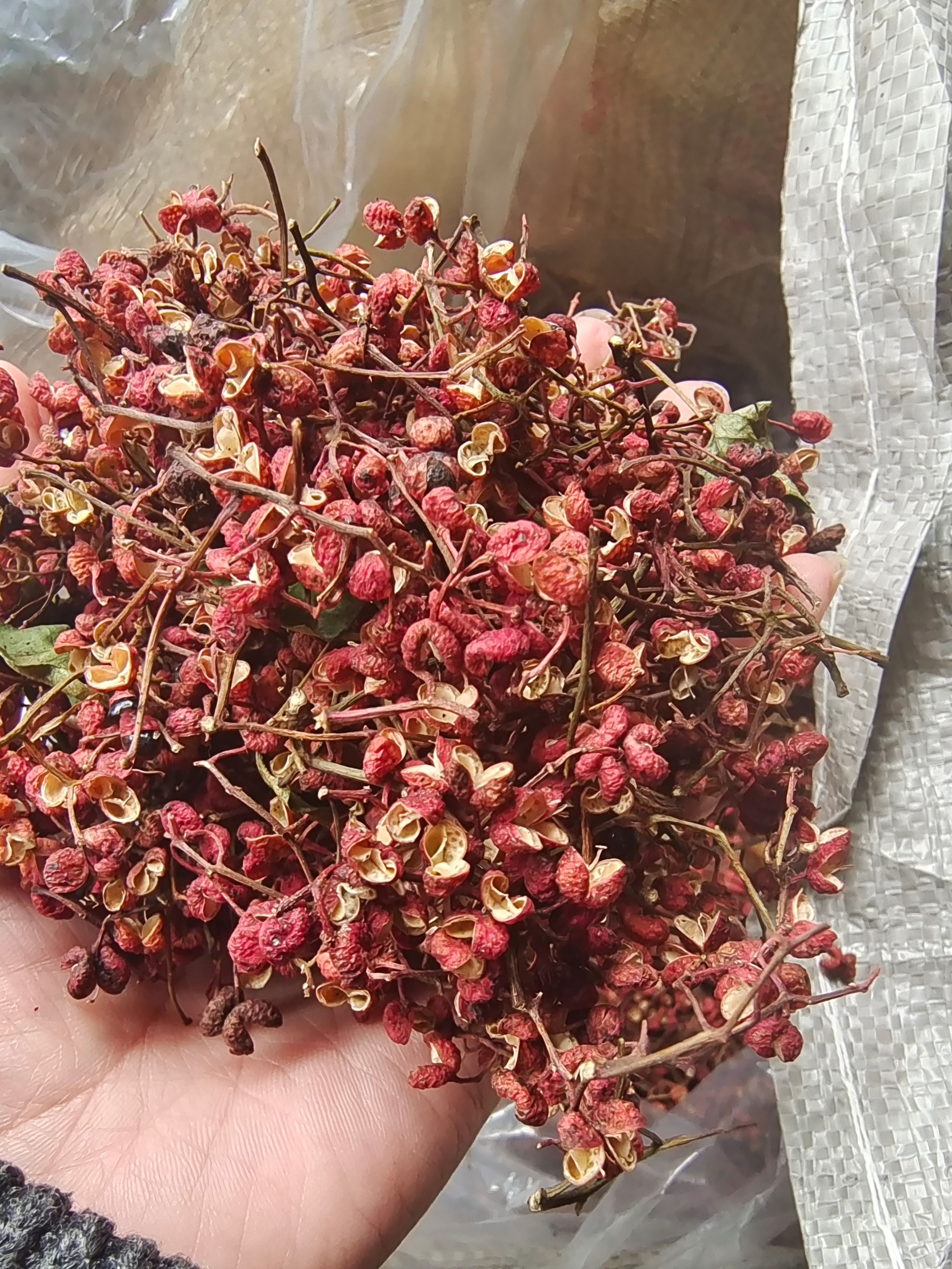 大红袍花椒新货   颜色红麻香味浓