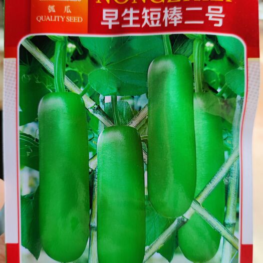 农之子早生短棒二号瓠瓜种子，10克，90粒左右