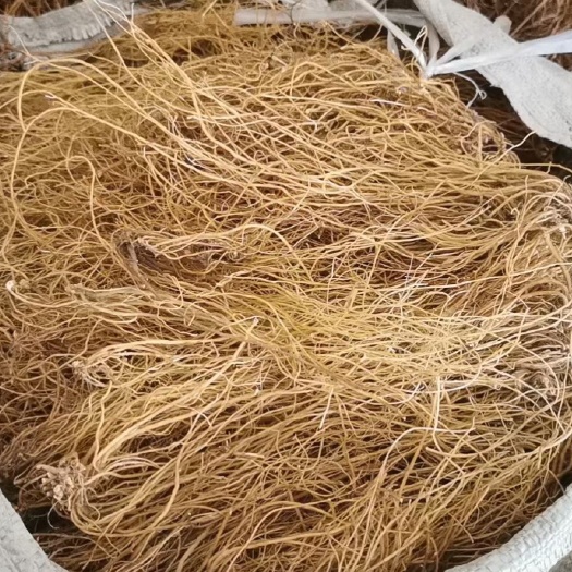 昆明龙胆草   货同图片  水洗货   欢迎选购有大货