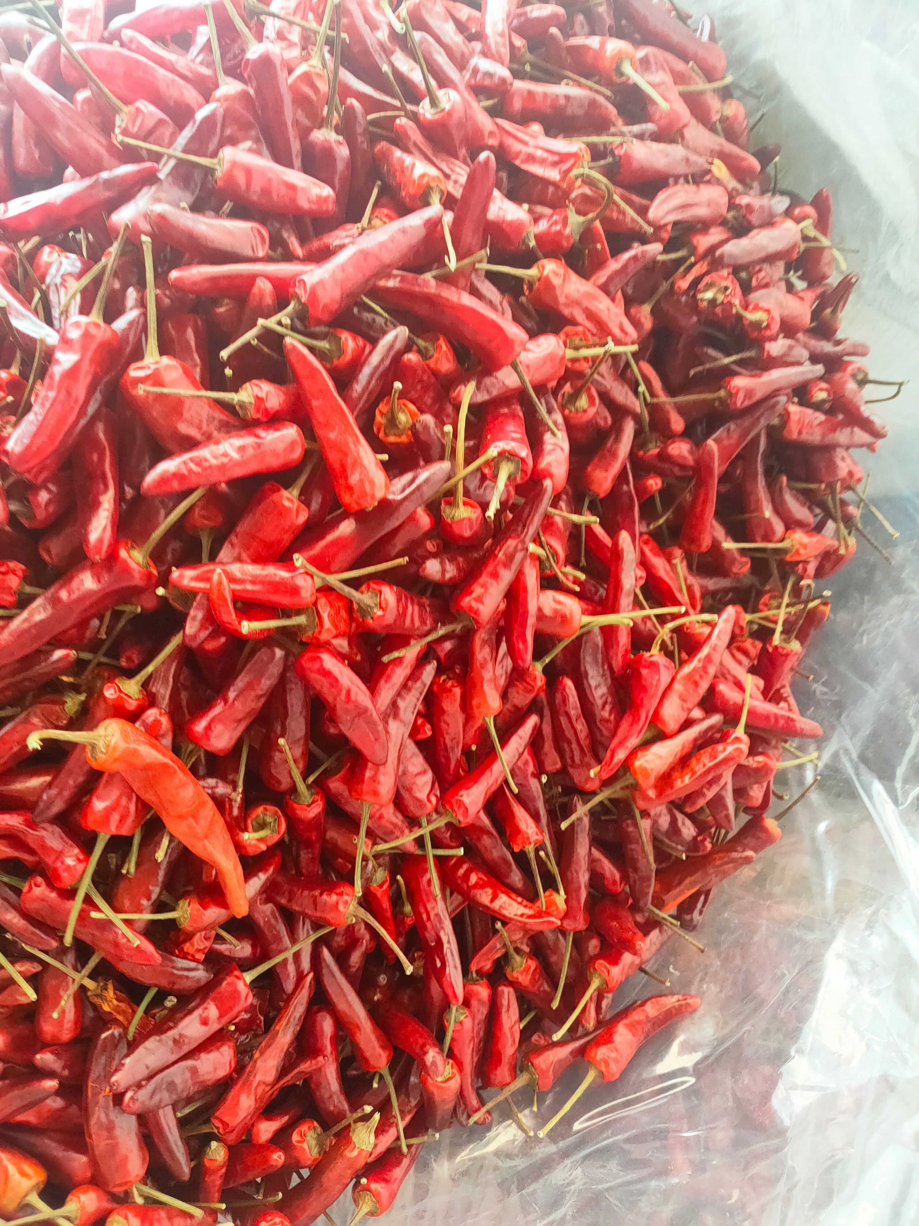 辣椒王干度好味道香辣耐煮卤菜专用