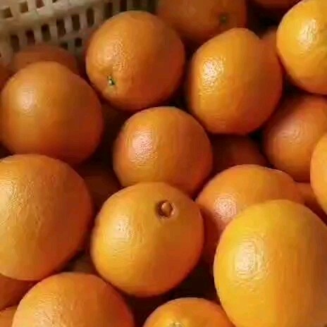 上犹县江西赣南脐橙场地直发大量发货中一件代发批发，电商社区供货