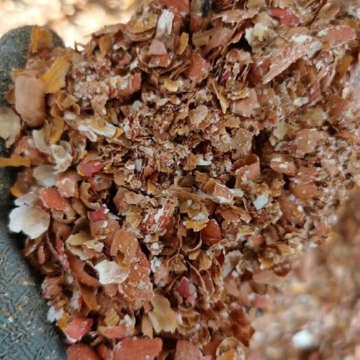 隆尧县青贮饲料 鲜花生红衣
