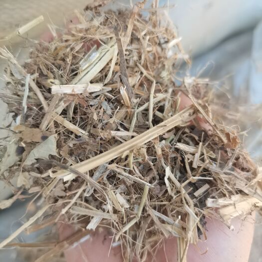 正阳县花生秧！