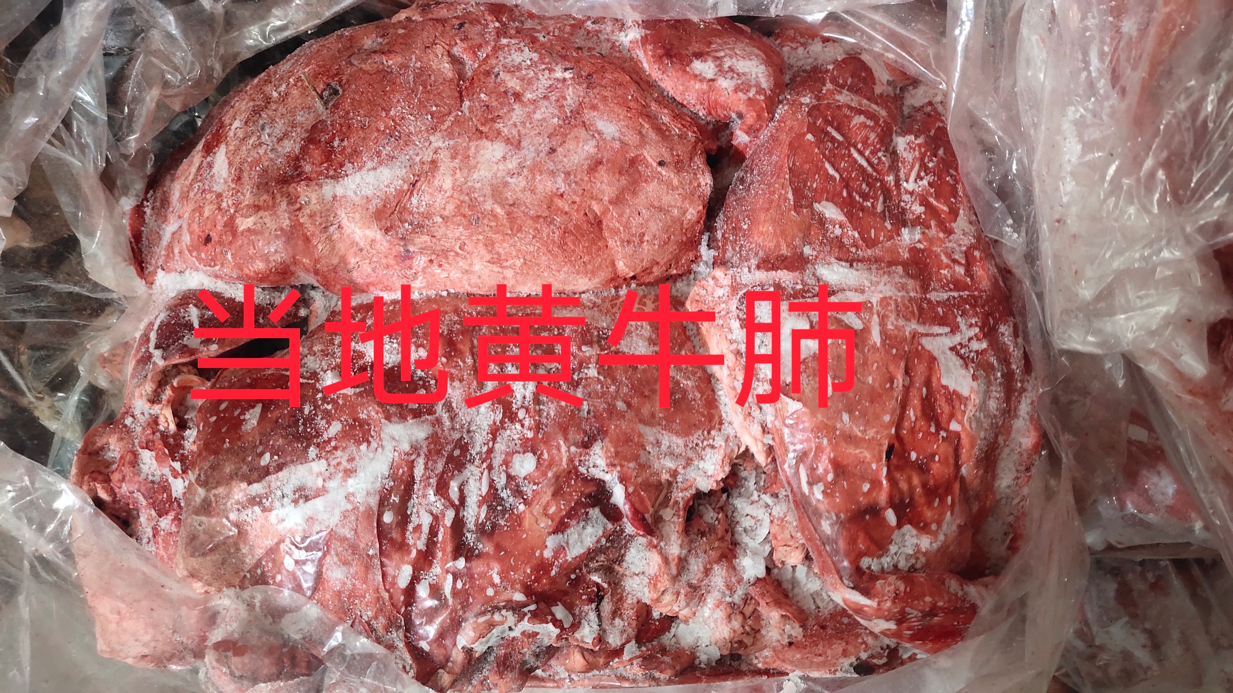【牛肺】黄牛的食品级牛肺，新鲜速冻没水分！全国冷链发货量大优