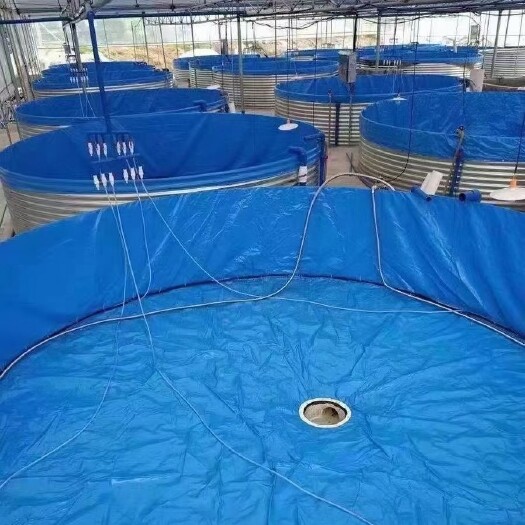 水产养殖箱  陆地巡洋舰12*1.48鱼池
