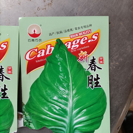 通海县白菜苗 有甘篮苗、牛心甘篮苗、品种多多