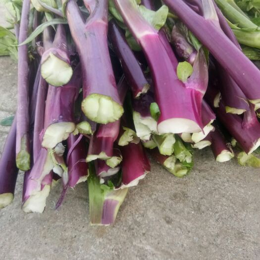 彭州市红菜苔