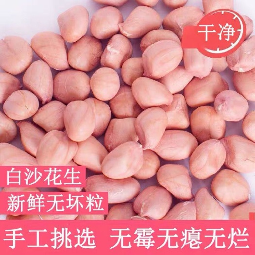新鲜生花生米去壳白沙大粒花生无壳花生仁粉红皮不带壳花生米批