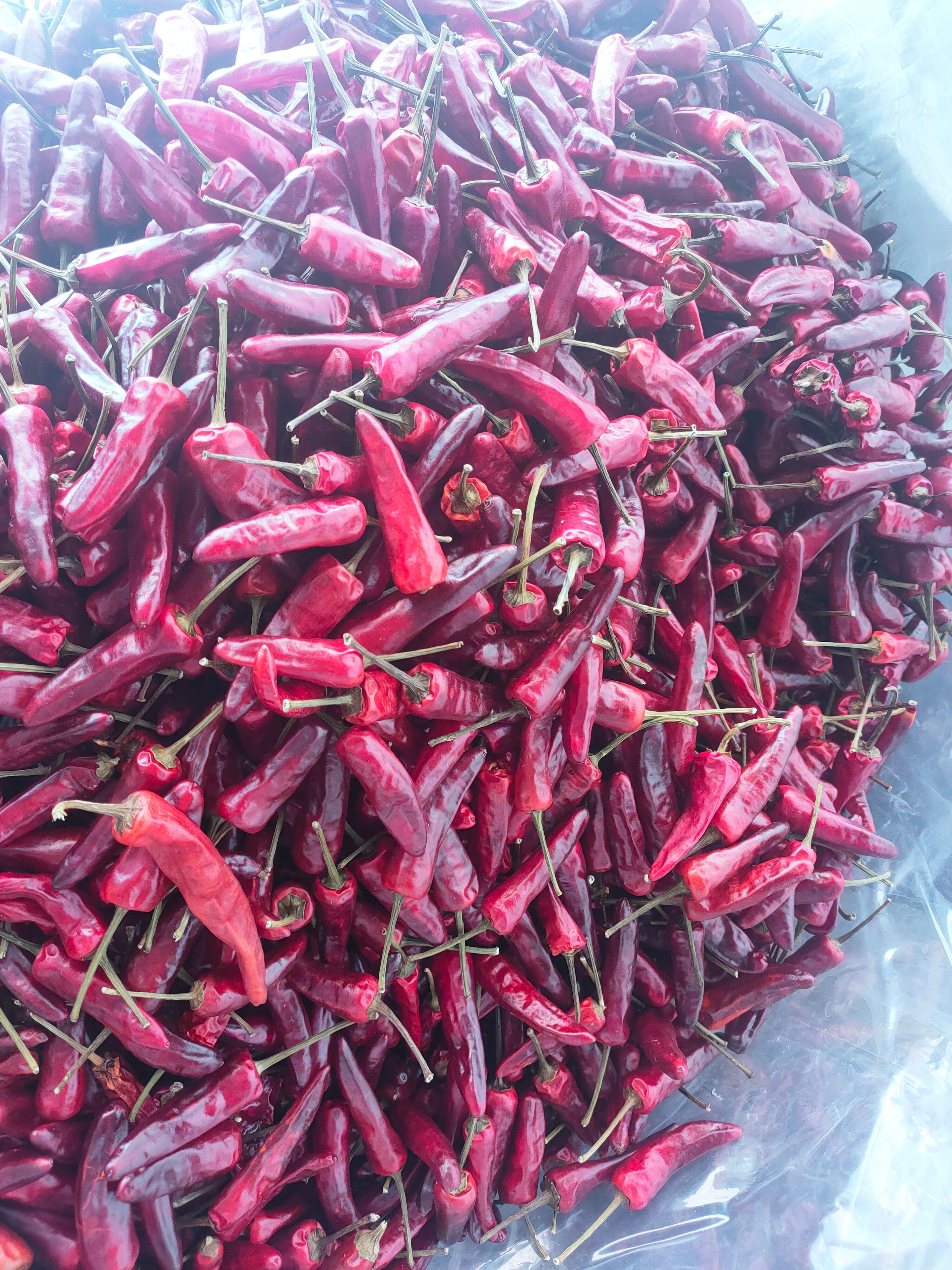 辣椒王干度好味道香辣耐煮卤菜专用