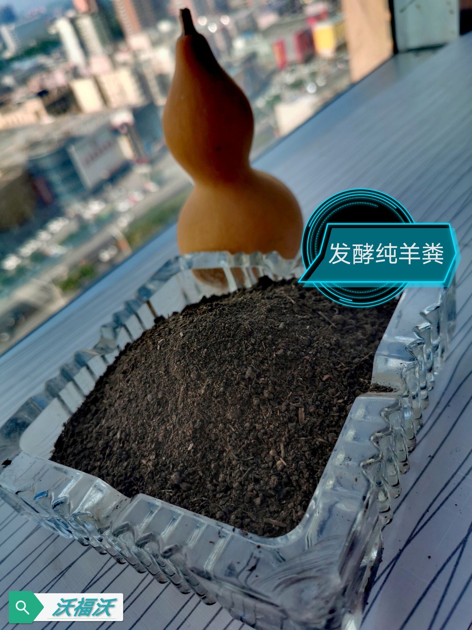 纯羊粪  发酵纯羊粪