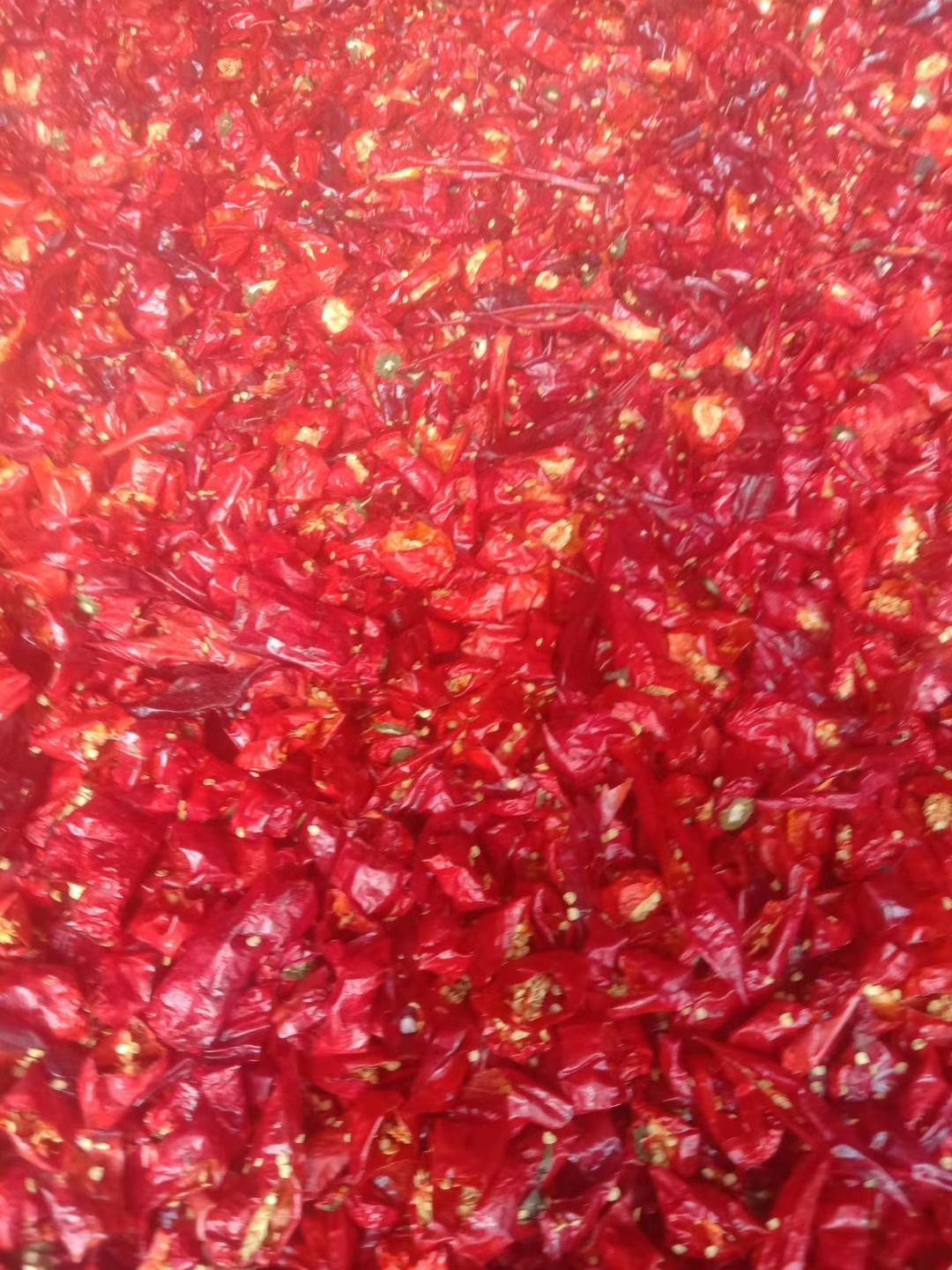 102辣椒  延边朝鲜族辣椒干/面