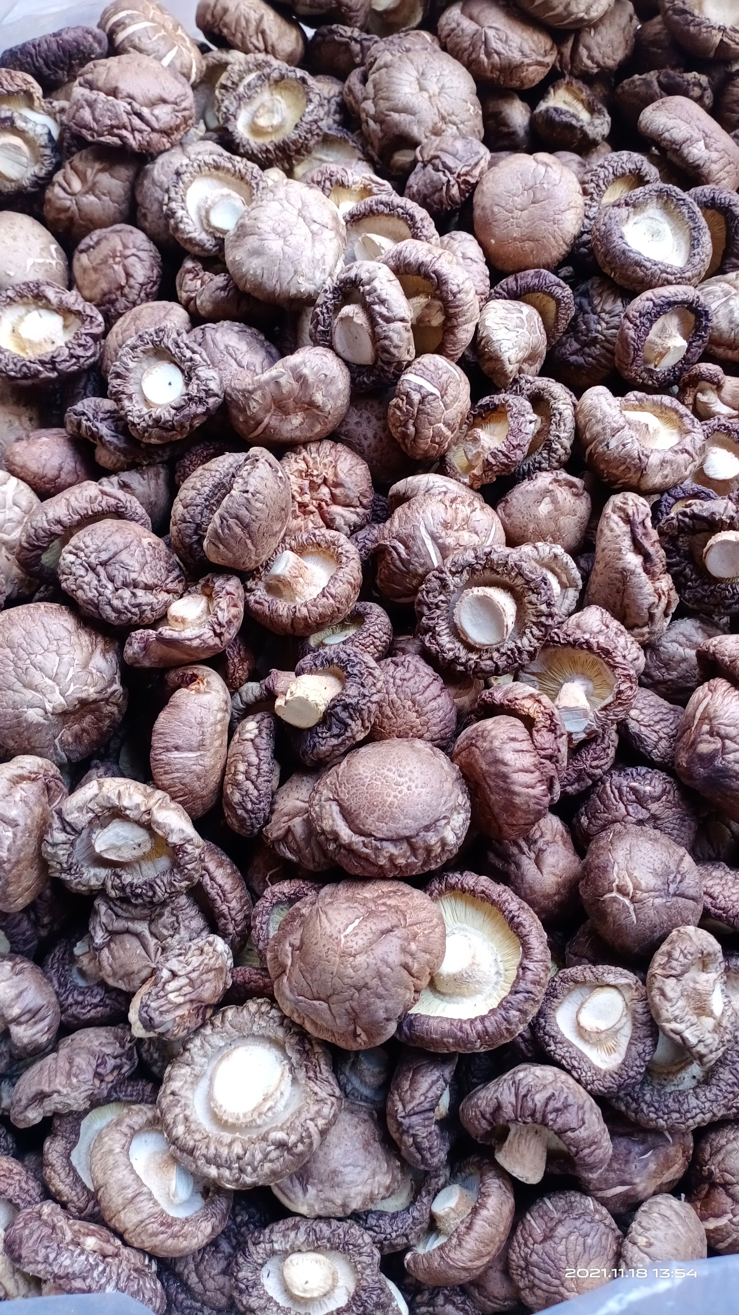 【深山好货】留坝香菇精选各规格剪脚冬菇厚菇花菇薄菇产地批发