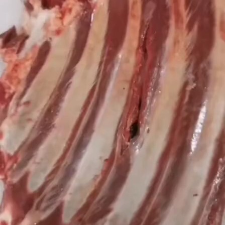  这边宰的是小口带皮马肉