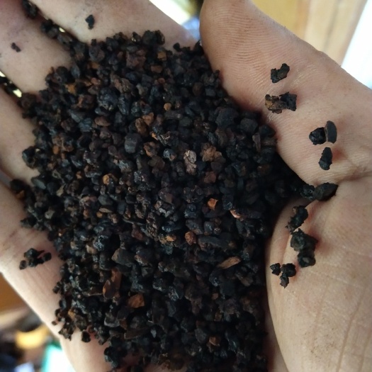 牡丹江俄罗斯桦树茸  黑金颗粒
