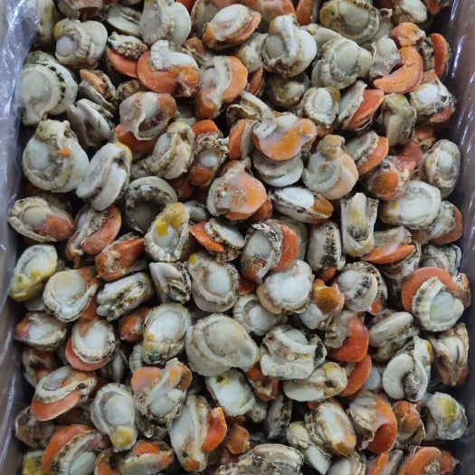 新鲜冷冻扇贝肉 皇冠贝 纯干原料