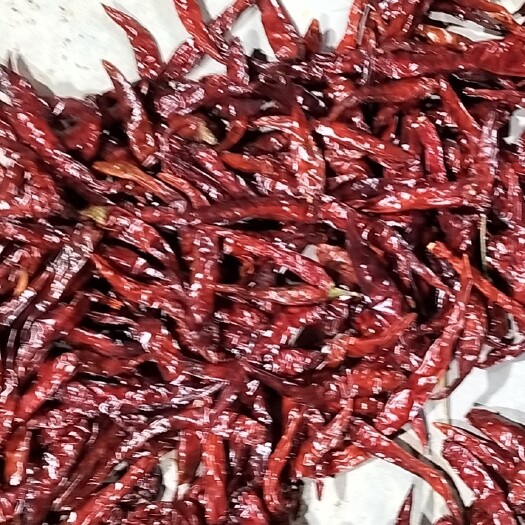 灵宝市艳红干辣椒 3吨炕干艳红