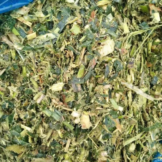 重庆市 玉米秸秆青贮甜象草青贮巨菌草青贮牧草秸秆发酵