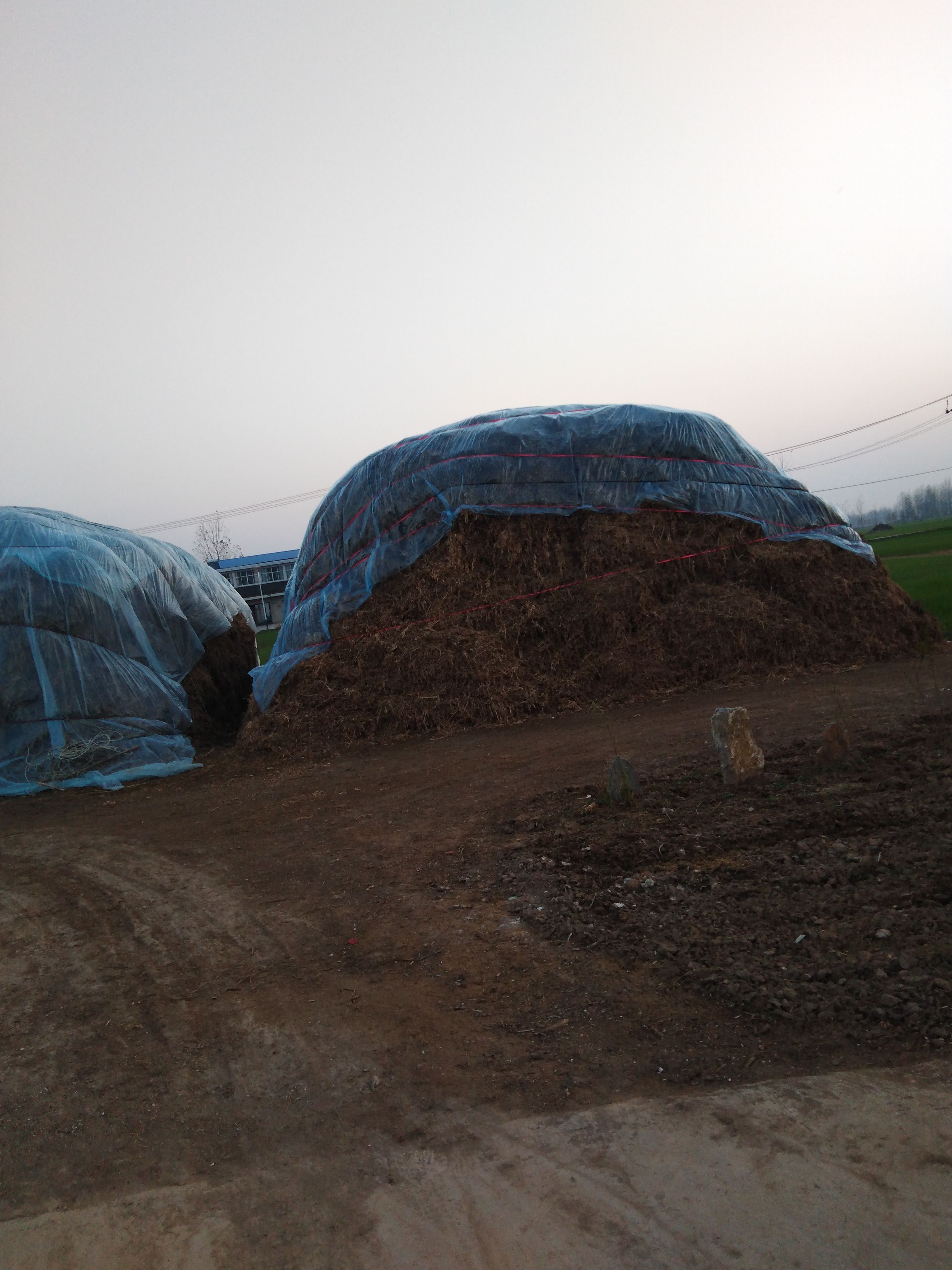 大豆秸秆饲料  黄豆秸秆