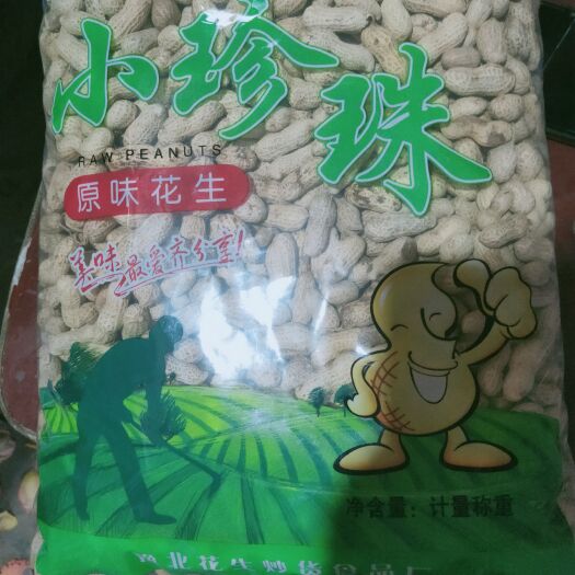 天府花生 天赋十二（小日本）