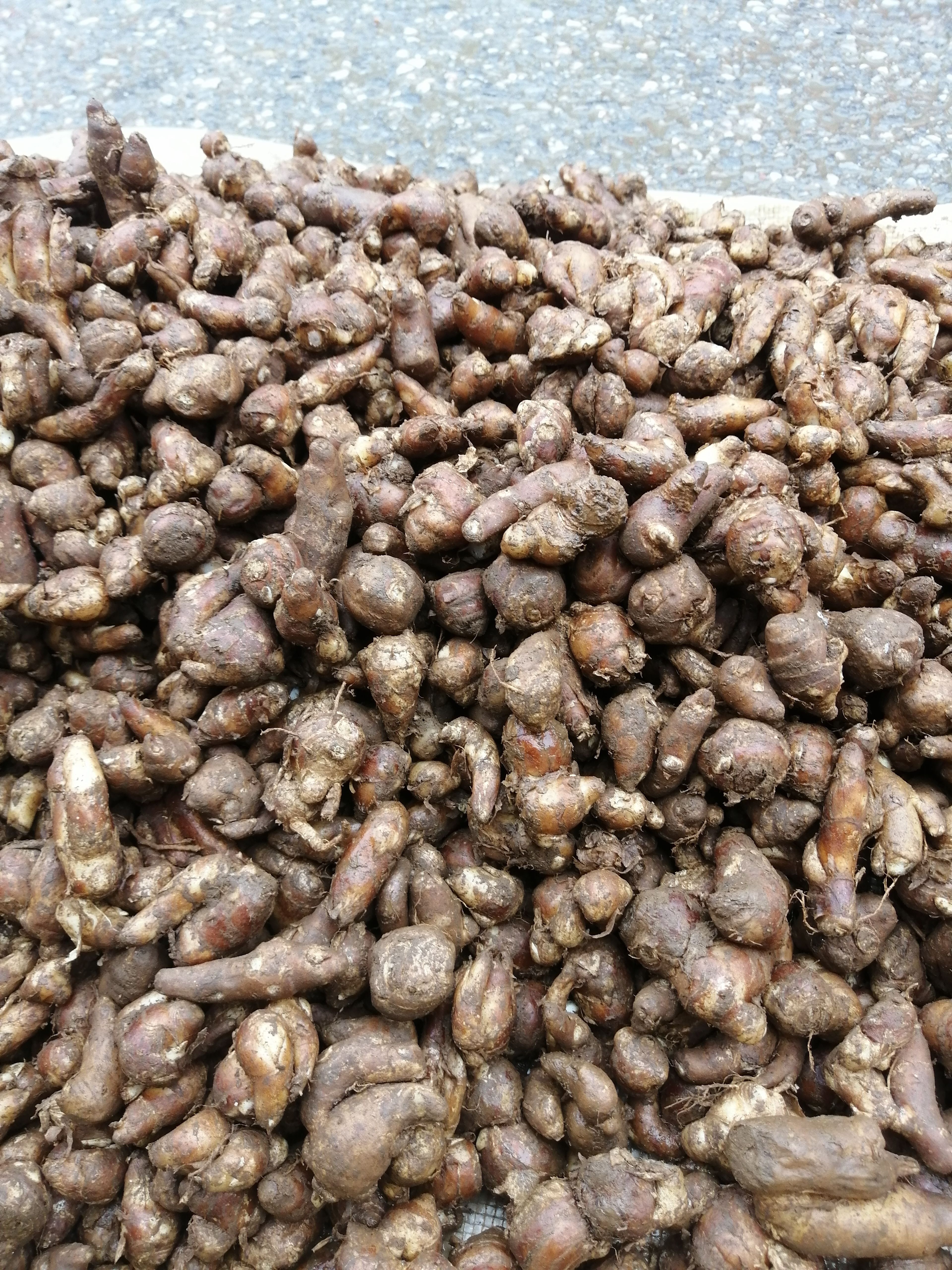 云南沙姜，三奈，三赖子，现挖现卖，香味纯正