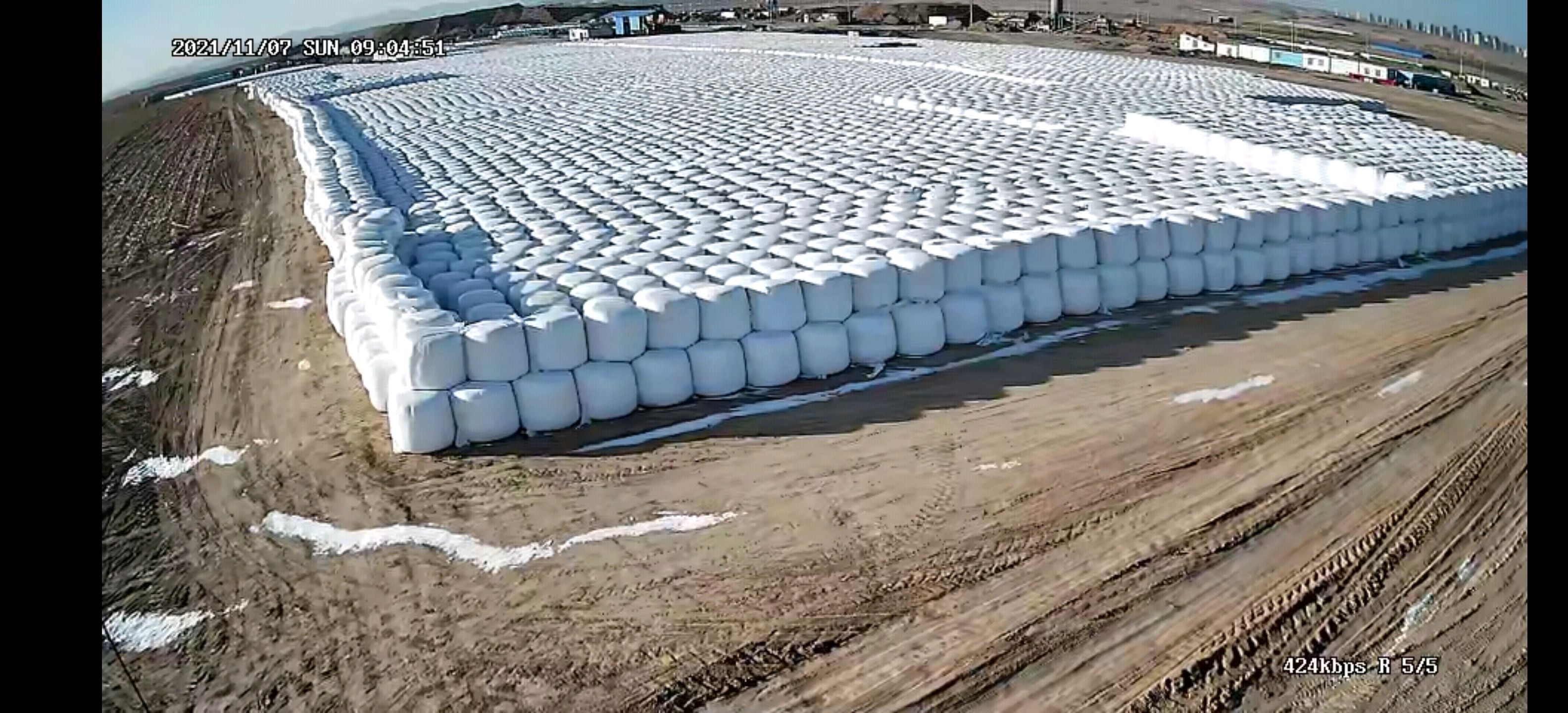 玉米青贮  1.8万吨裹包全株青储玉米