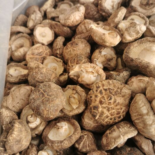 舞钢市干香菇