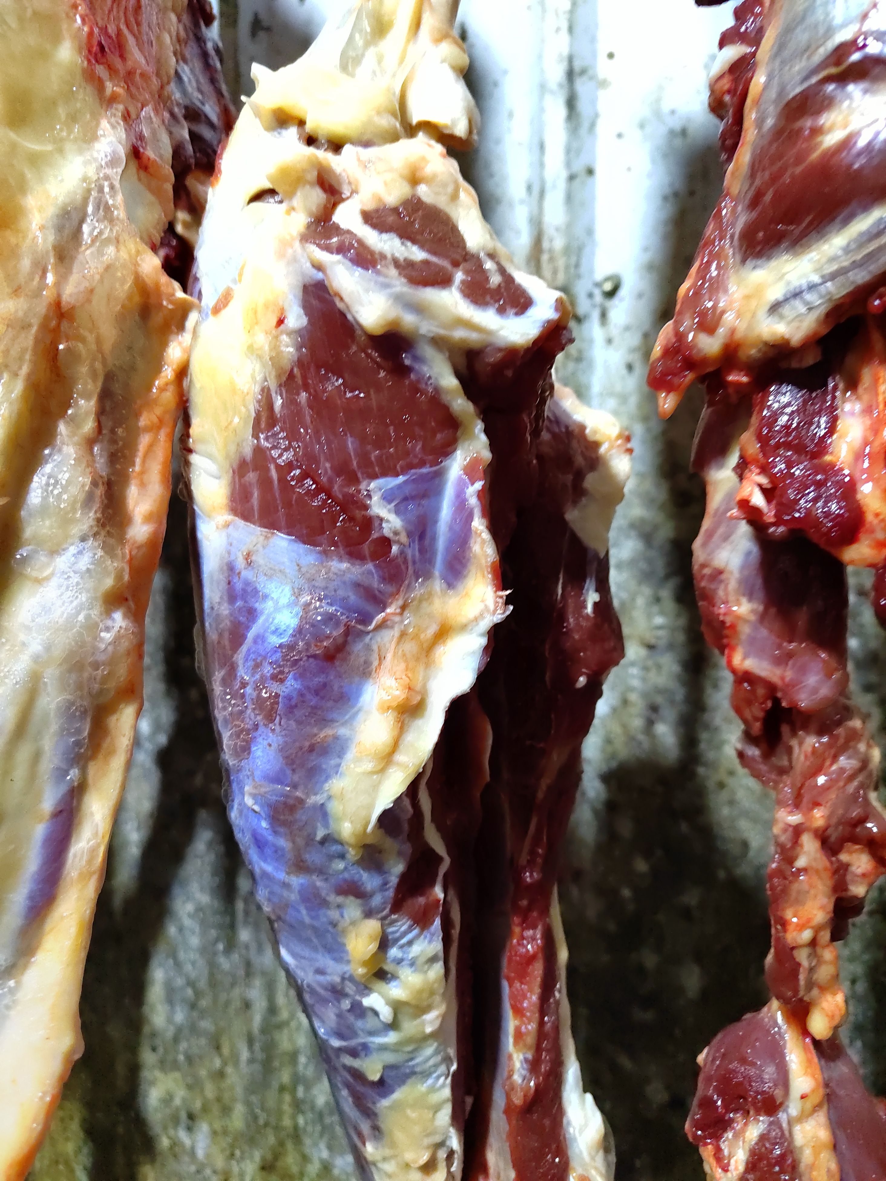 牛肉类  四川土黄牛肉