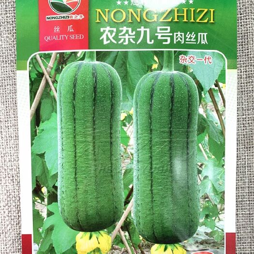 南昌农之子农杂九号短棒肉丝瓜种子