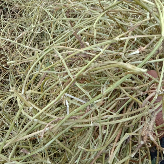 正阳县干草:花生秧、小麦秸秆、玉米秸秆厂价直销
