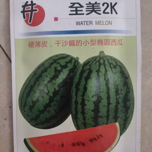 青州市全美4k西瓜种子  全美2k  高端礼品瓜  小型礼品瓜