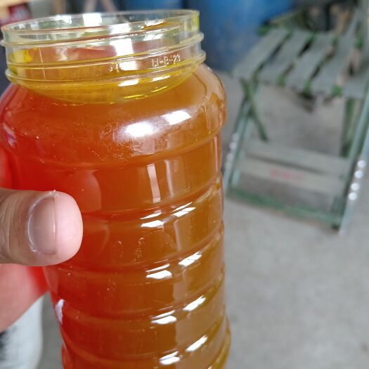 磁县枣花蜜 蜂蜜！蜂蜜！纯蜂蜜